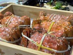 -黄记大闸蟹专卖店·活蟹·醉蟹