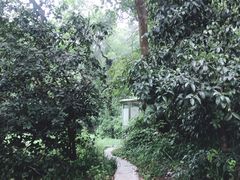 -杭州西湖风景名胜区-满觉陇四眼井