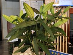 -福州金融街万达鳌峰洲地铁站锦江都城酒店