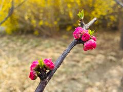 -中央广播电视总台(光华路办公区)