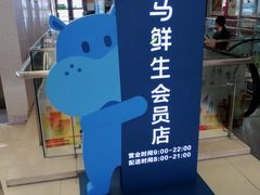 -盒马鲜生(大成店)