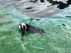 -上海野生动物园