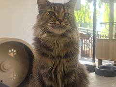 -J Create城市露营咖啡·简餐·宠物(上海动物园店)