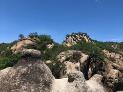 -大岭沟猕猴桃谷风景区