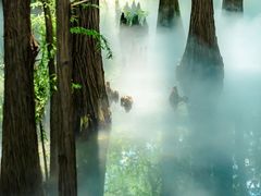 -东湖落雁景区