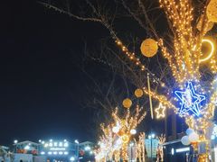 -荷兰花海