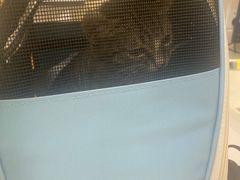-萌兽医馆·犬猫专科·眼科中心·宠物医院(朝阳门分院)