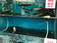 -高坎一品甲鱼庄(两河店)
