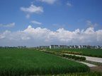 农家乐照片20-锦江中华村农家乐饭庄