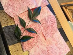 -然锅料理