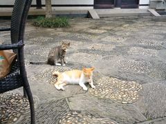 -常熟方塔园