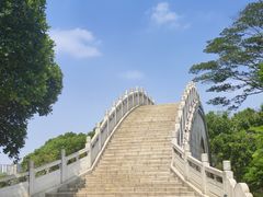 -顺峰山公园