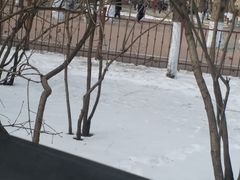 -建国公园