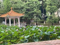 -暨南大学（石牌校区）明湖楼