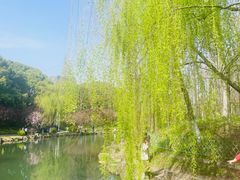 -大宁公园