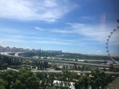 -新加坡丽思卡尔顿美年酒店