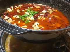 -重庆乌鱼庄·龙滋鲜(青羊大道店)