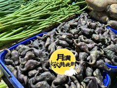 -花园菜市场