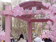 -金茂览秀城