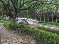 -大埔公路-马料水段香港中文大学(公交站)