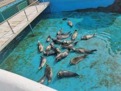 -秦皇岛乐岛海洋王国