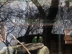 -南宁市动物园