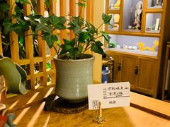 -和雅集素食(景区店)