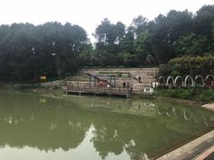 -铁山坪森林公园