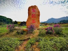 -光明小镇欢乐田园