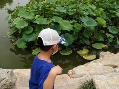 -西海子公园