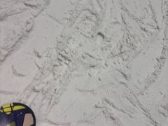 -哈尔滨热雪奇迹