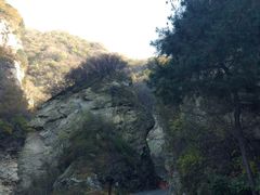 -陕西省红河谷森林公园