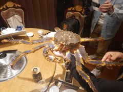 -都市阳光海鲜城(青山湖店)