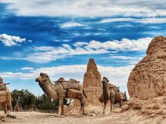 -镇北堡西部影城