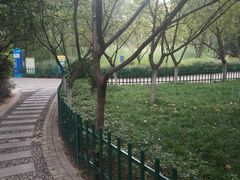 -西安市长乐公园