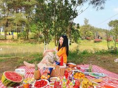 -铁山坪森林公园