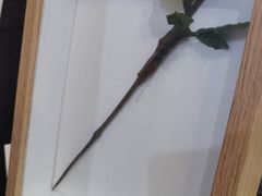 -暮晚尘香汉服旗袍