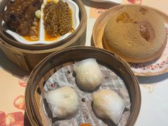 -点都德·毕德寮