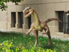 -国家自然博物馆