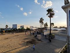 -碧海金沙