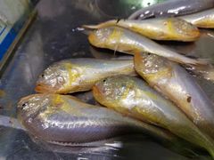-爷爷的草帽·海鲜馆(孙塘路店)
