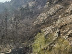 -金龙寺国家森林公园