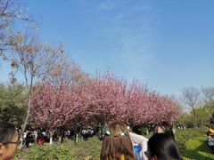 -西安青龙寺遗址景区