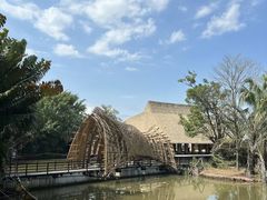-大湾区中央湿地公园