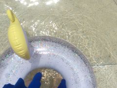 -重庆海昌加勒比海水世界
