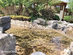 -大连金石滩绿发温泉假日酒店