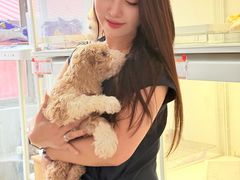 -翊宠yipet猫狗购宠庄园犬舍•猫舍