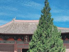 -善化寺