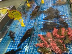 -阿杰臻选海鲜饭店(普陀山店)
