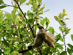 -白沙门生态公园